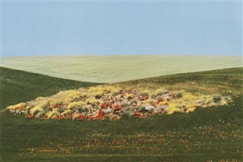 FRANCO FONTANA (1933- ) A group of four vibrant landscape photographs, including two each of pastoral fields and beach scenes.